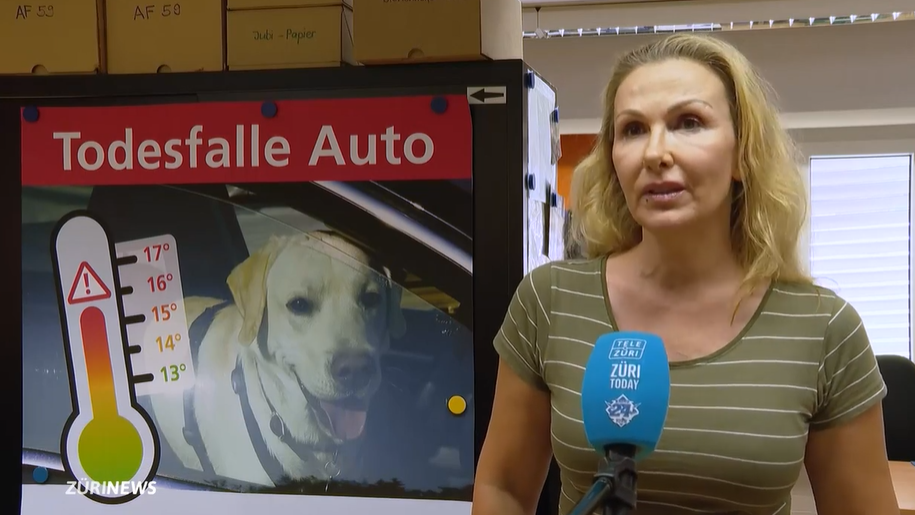 «Es ist unvorstellbar, wie die Hunde im Auto bei der Hitze leiden»