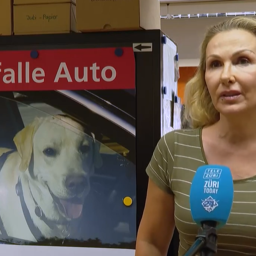 «Es ist unvorstellbar, wie die Hunde im Auto bei der Hitze leiden»