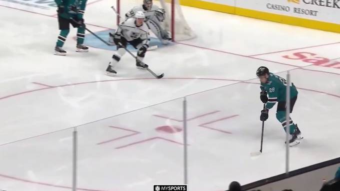 Herisauer begeistert die NHL: Meier erobert die Hockeywelt