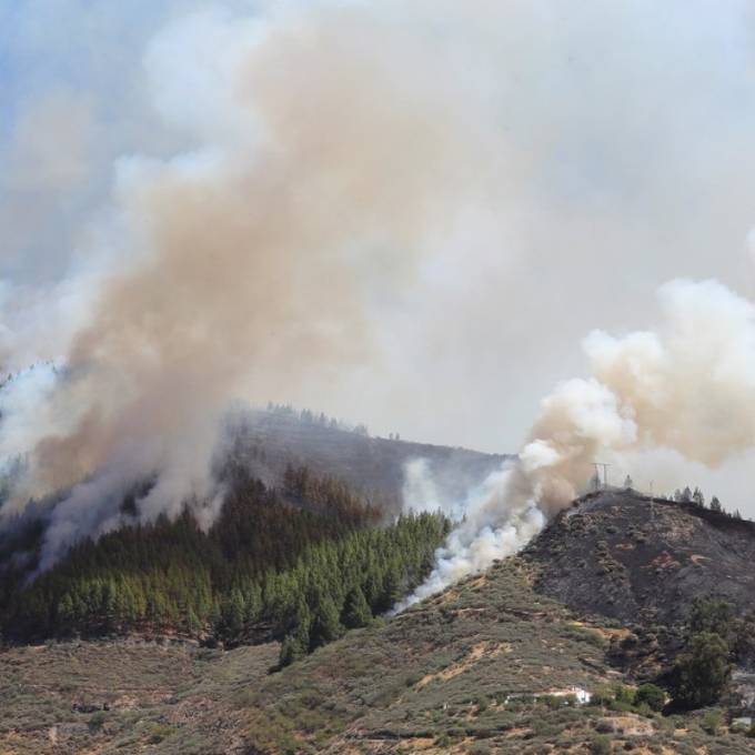 Schwerer Waldbrand in den Bergen von Gran Canaria