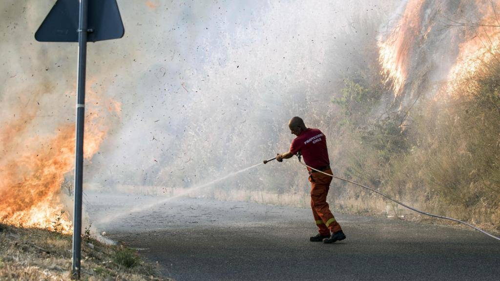 Aufgrund von Waldbränden mussten in Süditalien - wie in San Pietro nahe Cosenza - zahlreiche Touristen in Sicherheit gebracht werden.