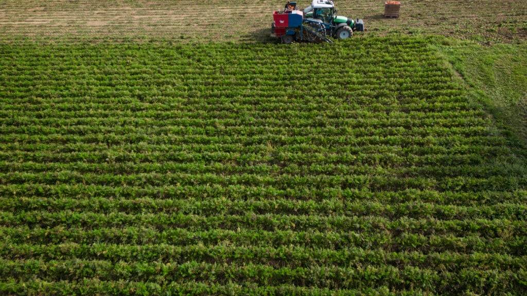 Im Kanton Thurgau förderte der Bund die Landwirtschaft im letzten Jahr mit rund 100 Millionen Franken. (Archivbild)