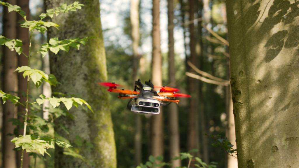 Zürcher Forschende entwickelten einen Ansatz, dank dem eine Drohne selbstständig mit hoher Geschwindigkeit durch unbekanntes Gelände navigieren kann, beispielsweise durch einen dichten Wald.