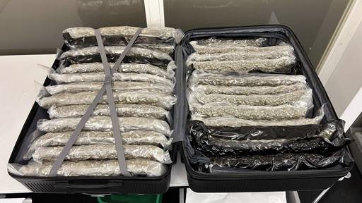 Flughafen Zürich: Polizei stellt 160 Kilo Marihuana sicher