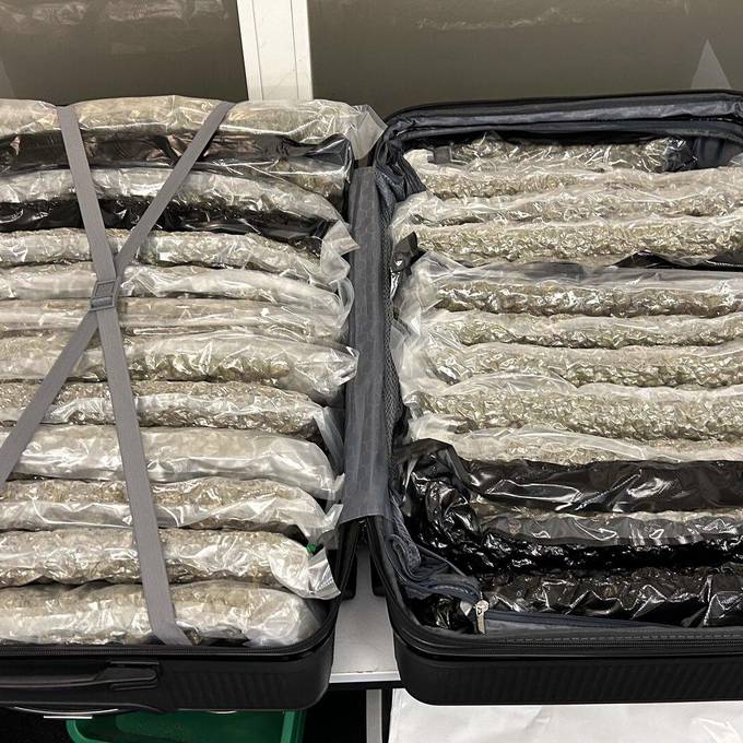 Flughafen Zürich: Polizei stellt 160 Kilo Marihuana sicher