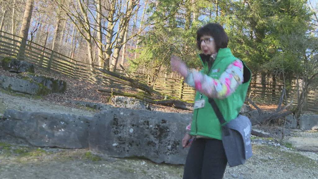 Spaziergang mit Hindernissen: Zwei Seniorinnen aus unserer Region sorgen im Zoo Zürich für strahlende Kinderaugen