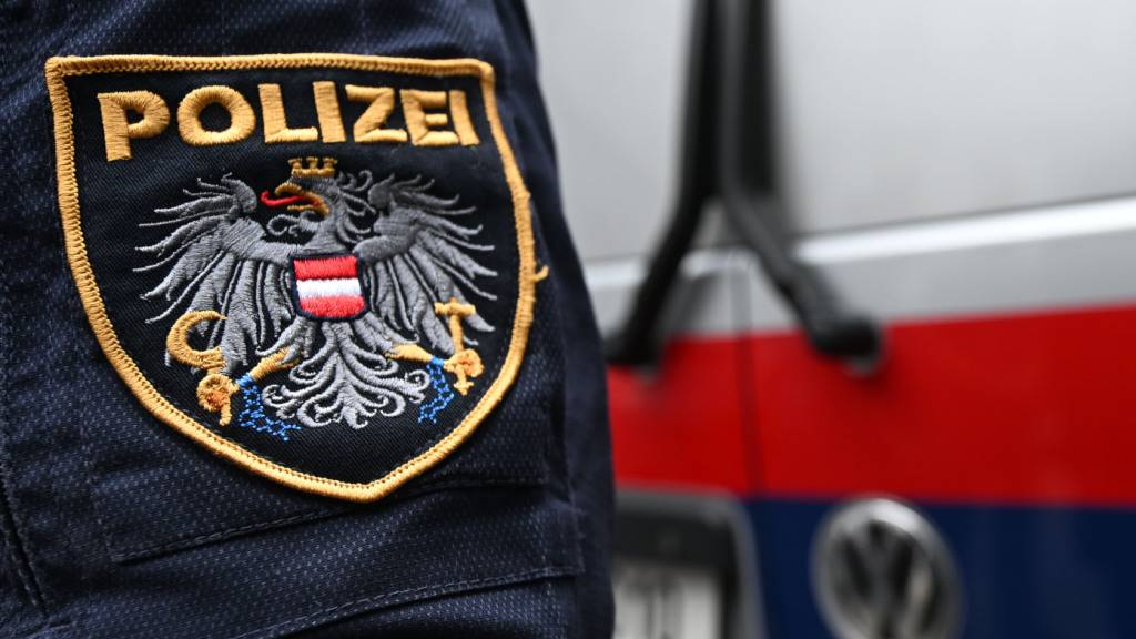Dreijähriger Bauernsohn stirbt in Höchst A bei tragischem Unfall