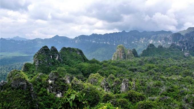 Ältestes Bild der Welt befindet sich in Höhle auf Borneo