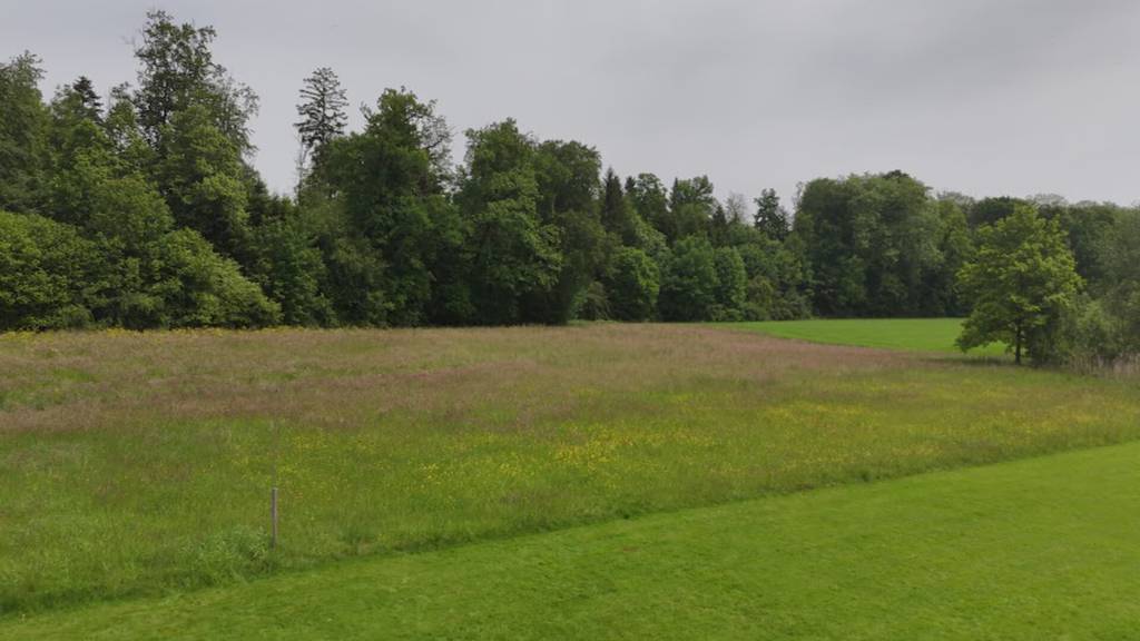 Neuer Halteplatz für Fahrende in Muri präsentiert