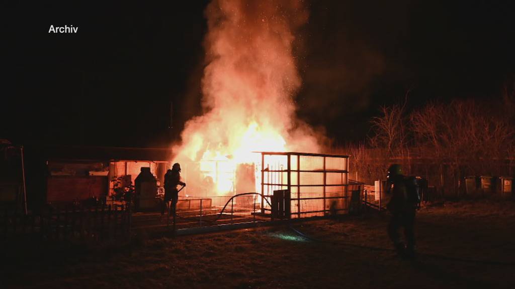 Prozess gegen Feuerteufel von Schmerikon