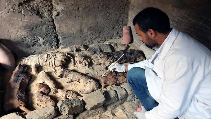 Archäologen finden Katzenmumien