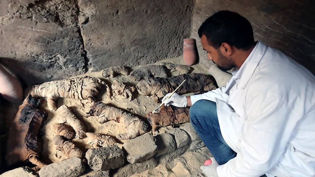 In einer Nekropole haben Archäologen in Ägypten mehr als 3000 Jahre alte Katzenmumien entdeckt.