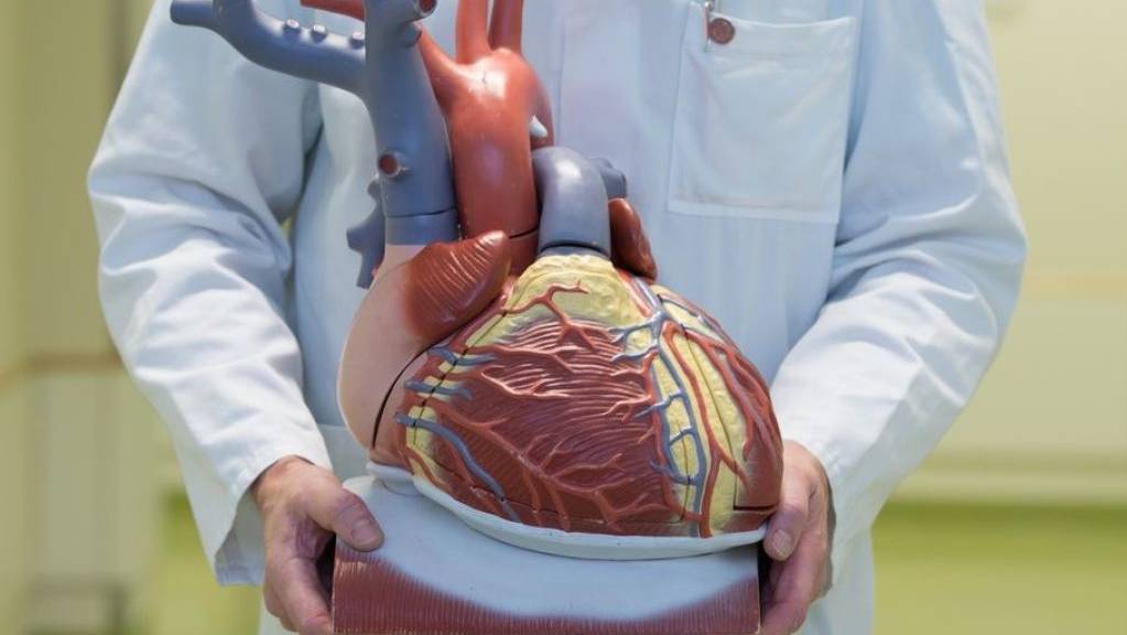 Forscher aus der Schweiz und Deutschland wollen durch eine grossangelegte Gen-Analyse herausfinden, welchen Anteil die Veranlagung bei Herzerkrankungen hat. (Archivbild)