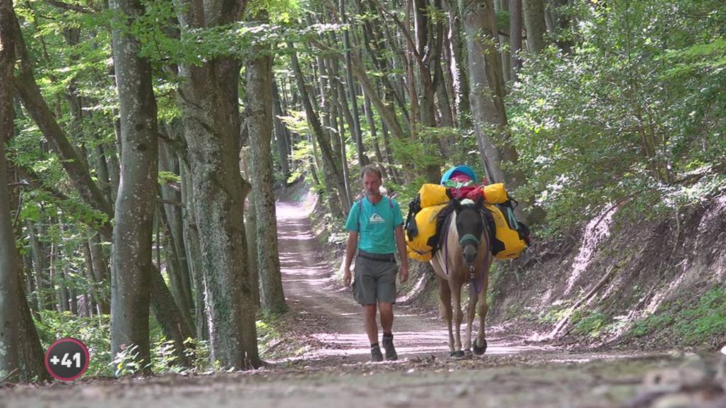 Der Pferdewanderer - Auf dem Heimweg