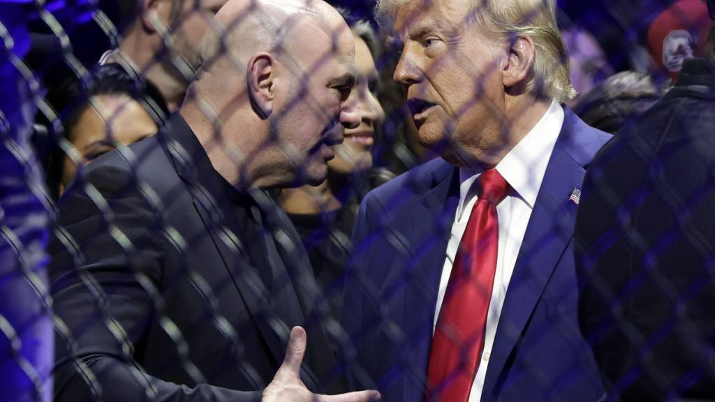ARCHIV - Der designierte US-Präsident Donald Trump spricht mit dem CEO der UFC, Dana White, bei der UFC 309 Mixed Martial Arts Veranstaltung. Foto: Adam Hunger/AP/dpa