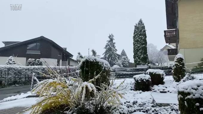 Der Schnee überzuckert die Zentralschweiz