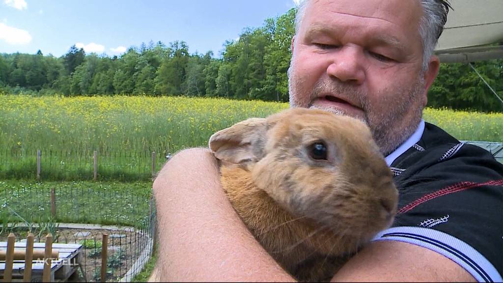 Happy End: Vier kleine Kaninchen wurden entsorgt – nun haben sie ein neues Zuhause