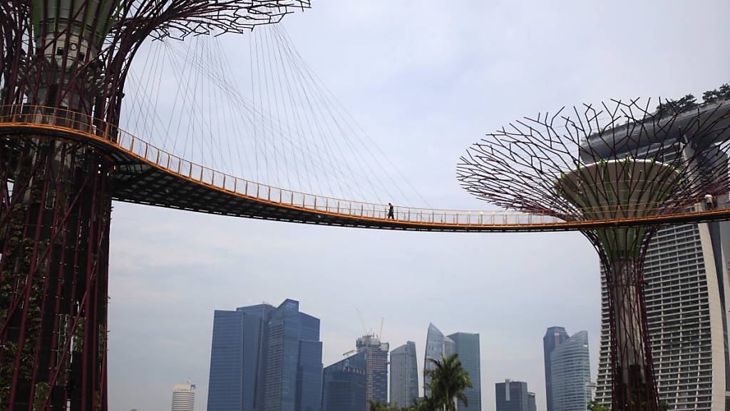 In Singapur läuft die Wirtschaft aufgrund der Coronavirus-Krise schlecht - keine Touristen, keine Umsteiger am Flughafen und rückläufige Handelstätigkeiten. (Symbolbild)
