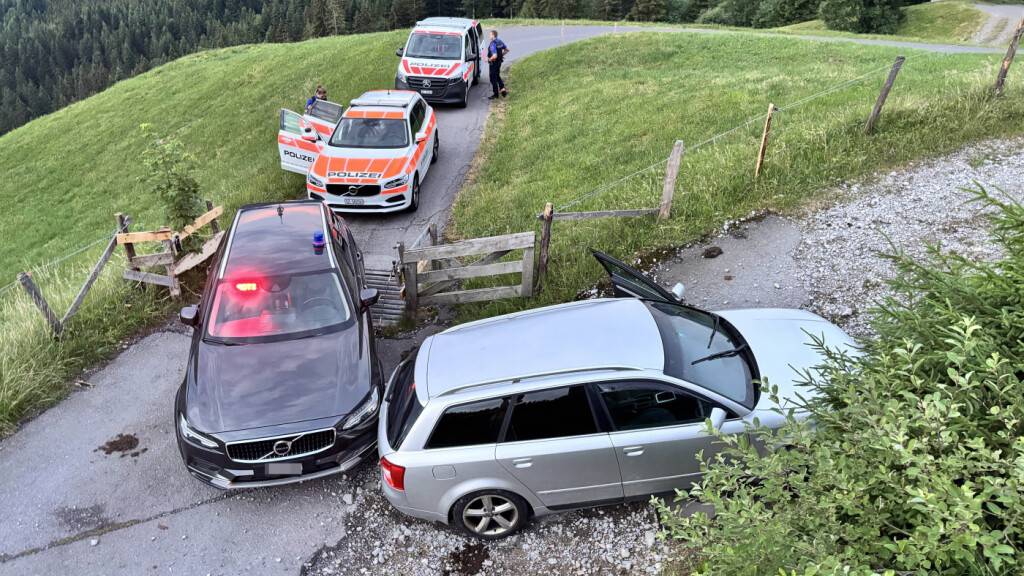 Autofahrer flüchtet nach Selbstunfall in Einsiedeln SZ
