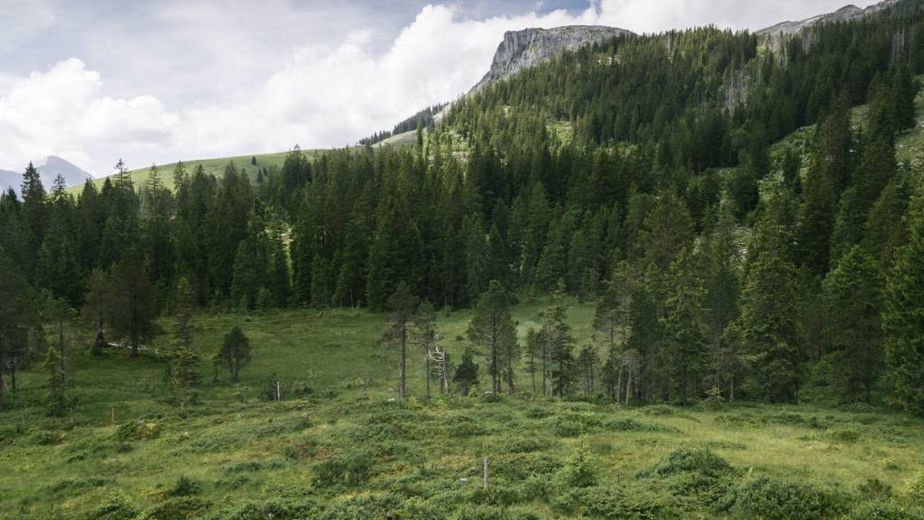 Die Moorlebensräume der Biosphäre Entlebuch sind insgesamt rund 2600 Hektaren gross. (Archivaufnahme)