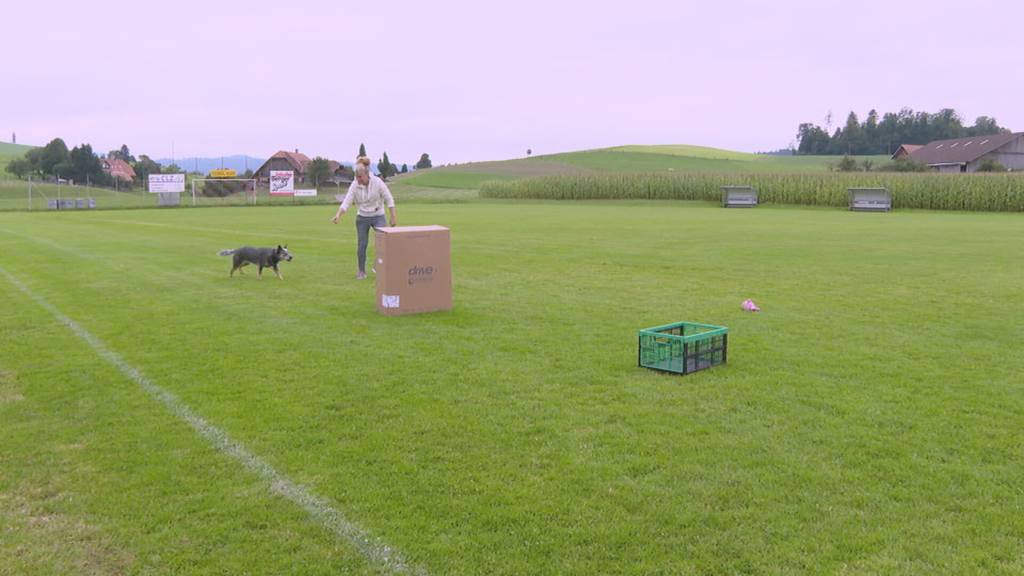 Schweizer Duo bei «Top Dog Germany»
