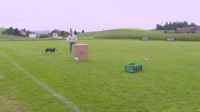 Schweizer Duo bei «Top Dog Germany»