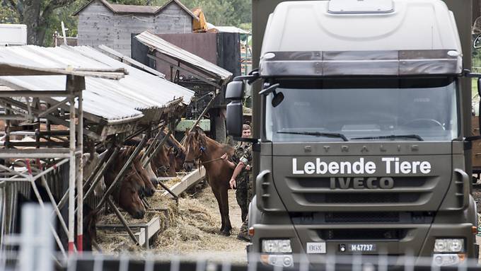 Ehemaliger Thurgauer Kantonstierarzt fordert Freispruch