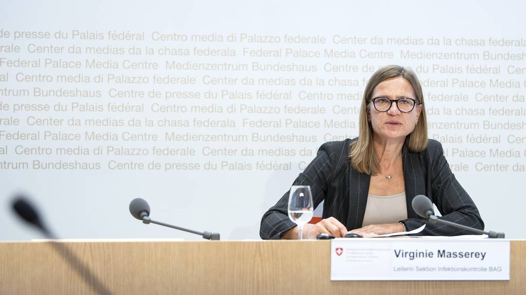 Mit Helikoptern und Bodenpersonal: So kämpft die Schweiz ...