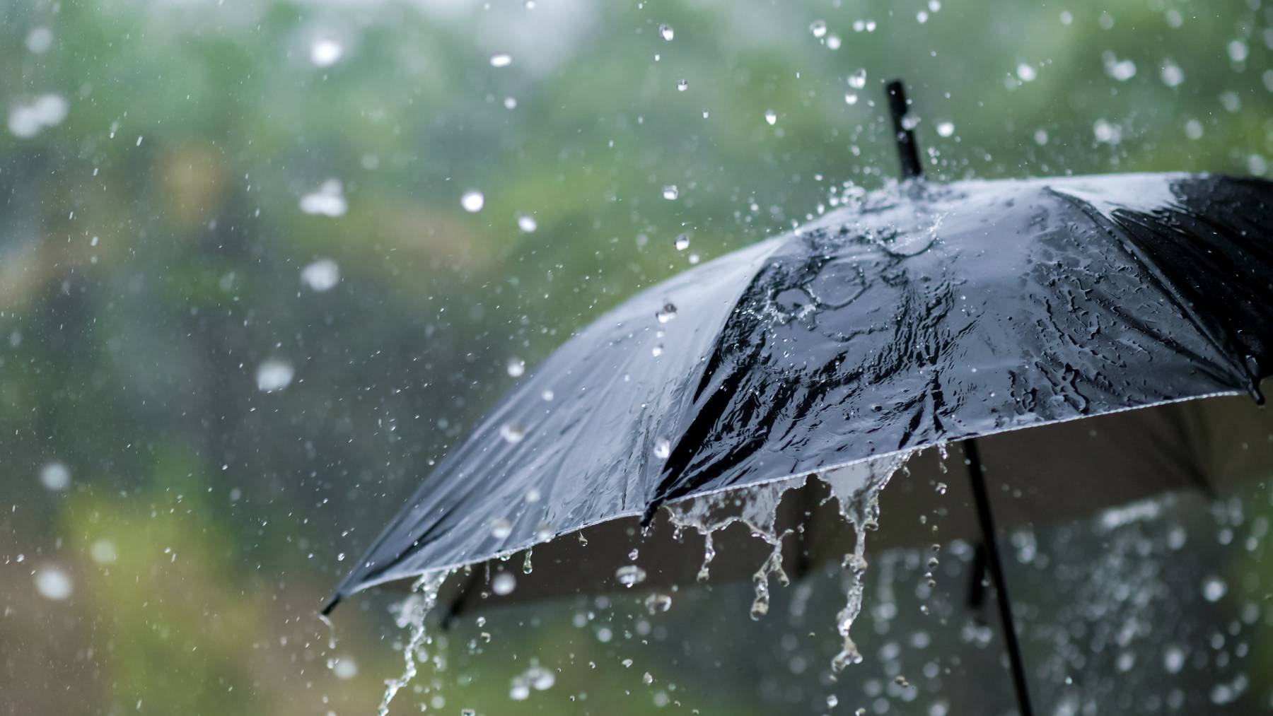 Bis zur Mitte der ersten Juni-Woche brauchst du den Regenschirm noch.