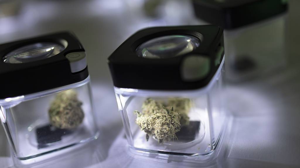 Kleine Mengen von Cannabis dürfen nicht mehr zur Vernichtung eingezogen werden. Polizei und Staatsanwaltschaft haben deshalb die Praxis angepasst. (Archivbild)