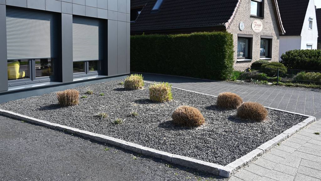 Im Aargau sollen Schotter- und Steingärten verboten werden