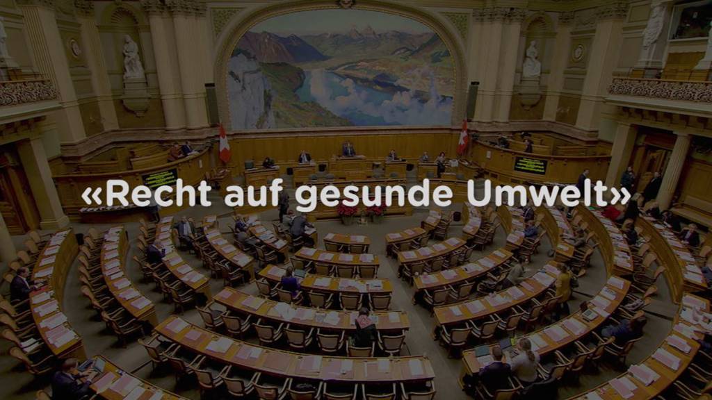 Säckli oder Rute für Parlamentsmitglieder?