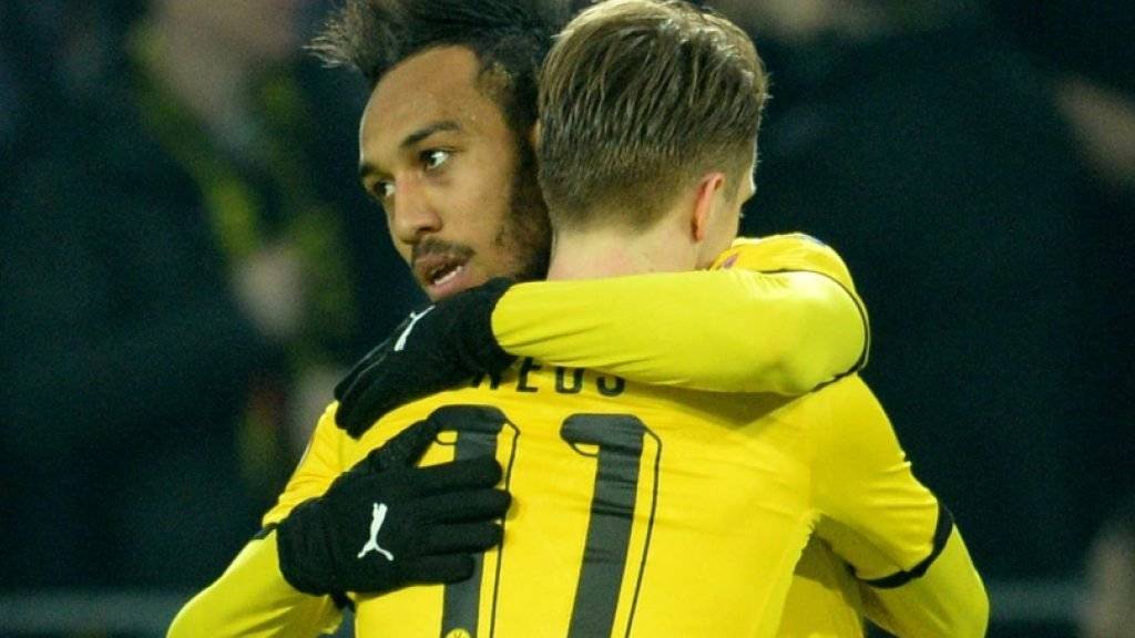 Beim Sieg gegen Tottenham die Matchwinner für Dortmund: Pierre-Emerick Aubameyang (hinten) und Marco Reus