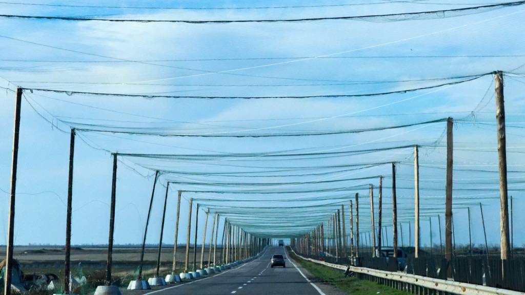Selenskyj: Vier Tote bei «Drohnen-Safari» in Cherson