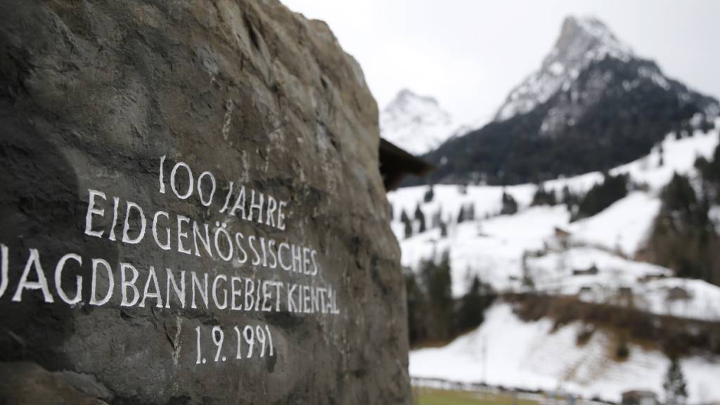 Auch im über hundertjährigen Jagdbanngebiet Kiental BE sollen künftig Wölfe, für die eine Abschussbewilligung vorliegt, erlegt werden können. (Archivbild)