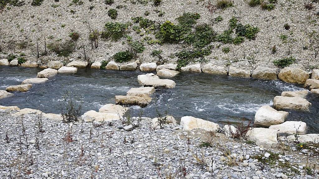 Ein Umgehungsgewässer führt wandernde Fische am Wasserkraftwerk Hagneck vorbei. (Archivbild)