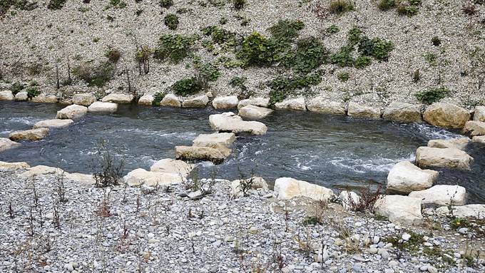 Rund 1000 neue Wanderhilfen für Fische nötig