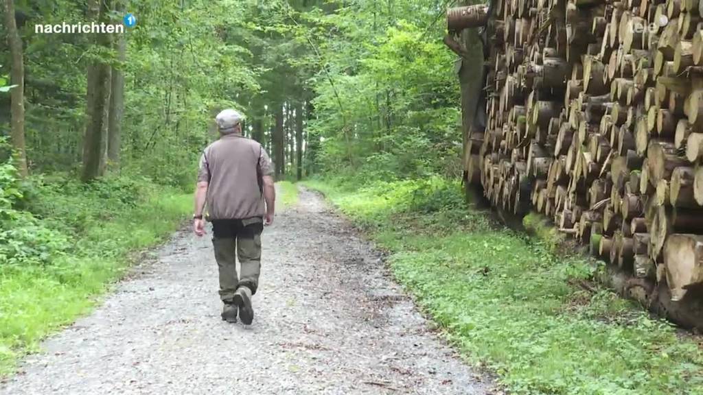 Grosse Herausforderungen für Luzerner Wälder