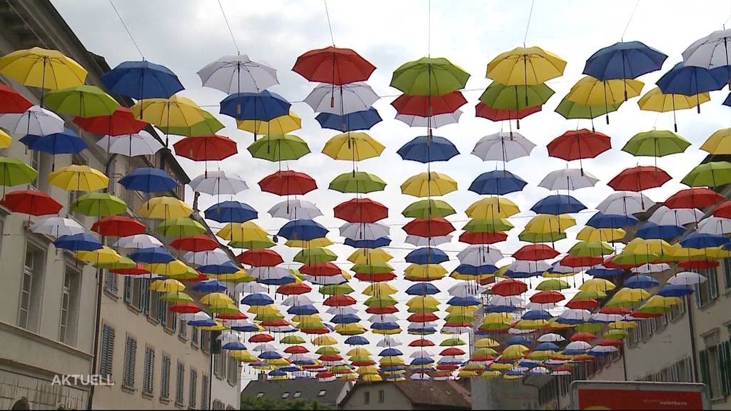 Nach 4 Monaten als Kunstwerk: 500 Regenschirme werden in Olten gratis abgegeben