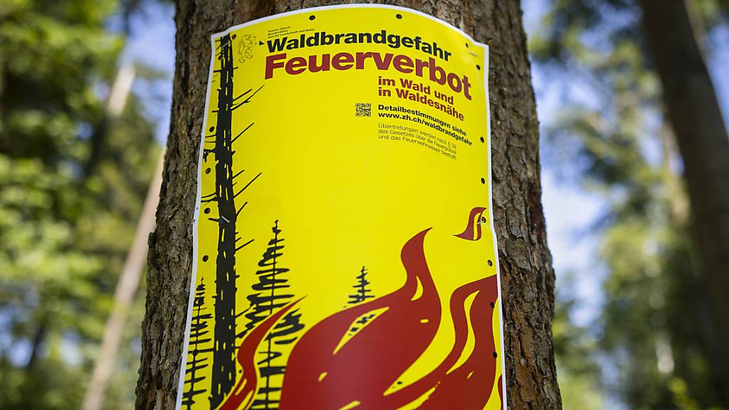 Auch Luzern und Uri heben Feuerverbot auf