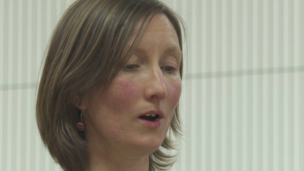 Serie «Wem gehört Zug?» - Die Expats