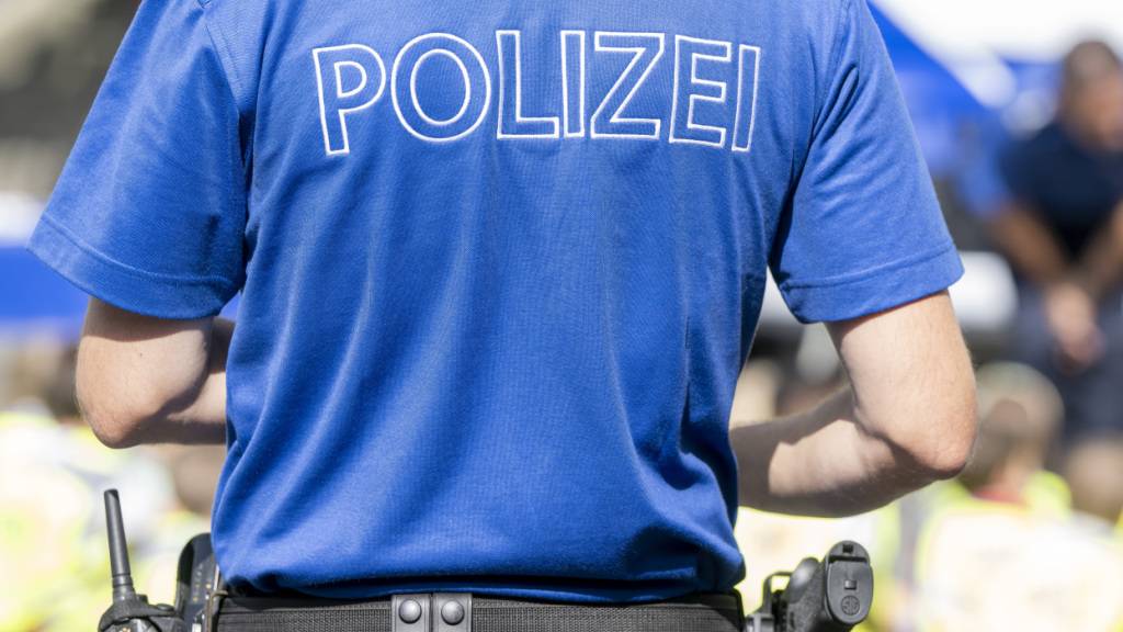 Die Luzerner Polizei hat unter Mithilfe eines Diensthundes in der Nacht auf Mittwoch drei mutmassliche Diebe festgenommen. (Symbolbild)