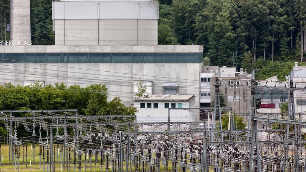 Die BKW hat 2015 etwas weniger Gewinn geschrieben. Im Bild das Atomkraftwerk Mühleberg.
