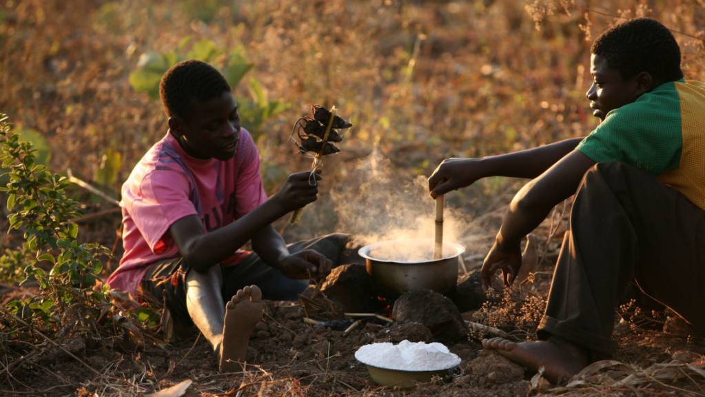Zwei Männer in Malawi essen gekochte Mäuse. (Archivbild)