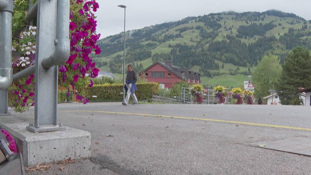 Wunsch nach Fussgängerstreifen