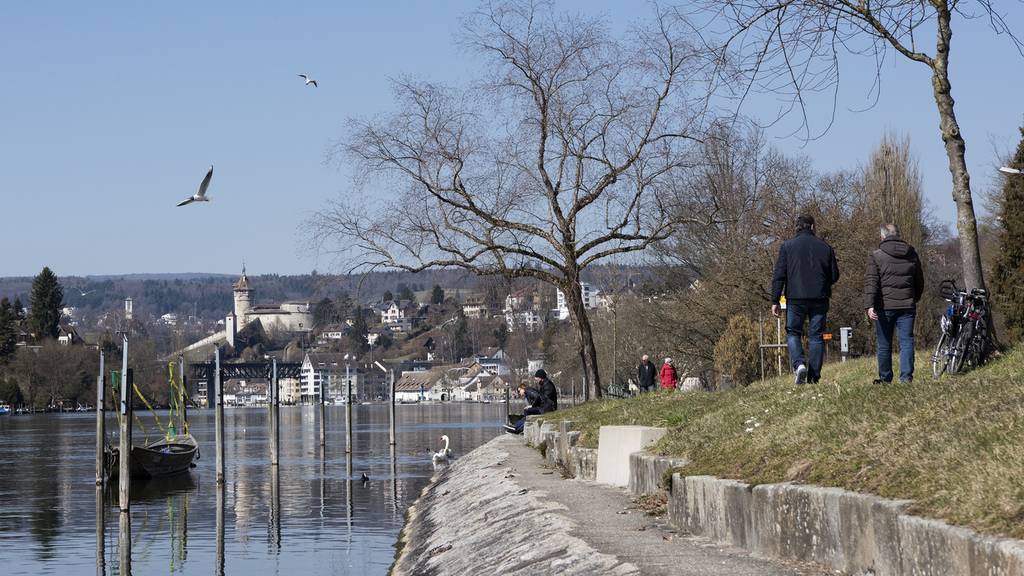 Polizist taucht in Rhein, um Handy zu retten