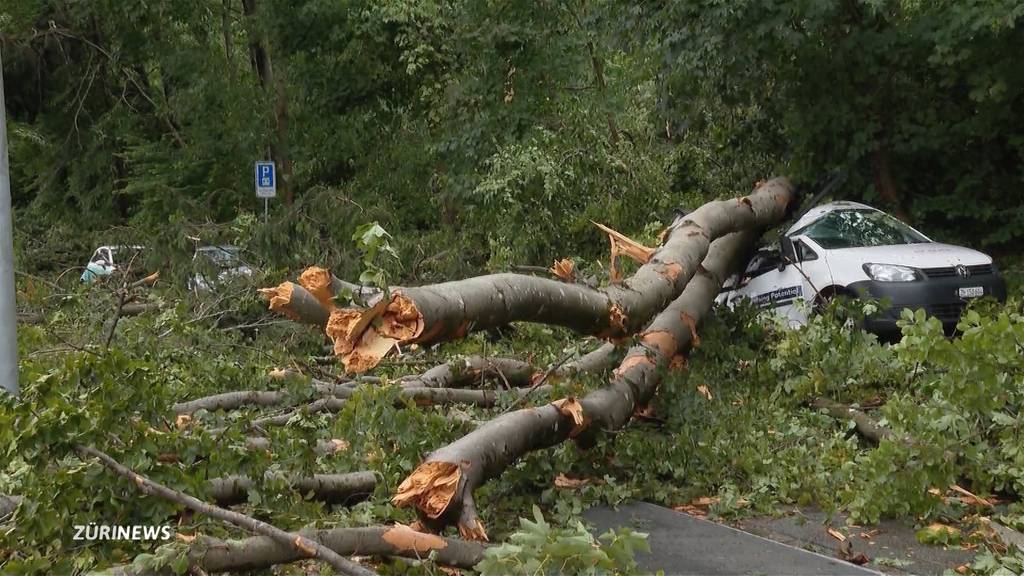 Anwohner ärgern sich über harzige Aufräumarbeiter am Käferberg