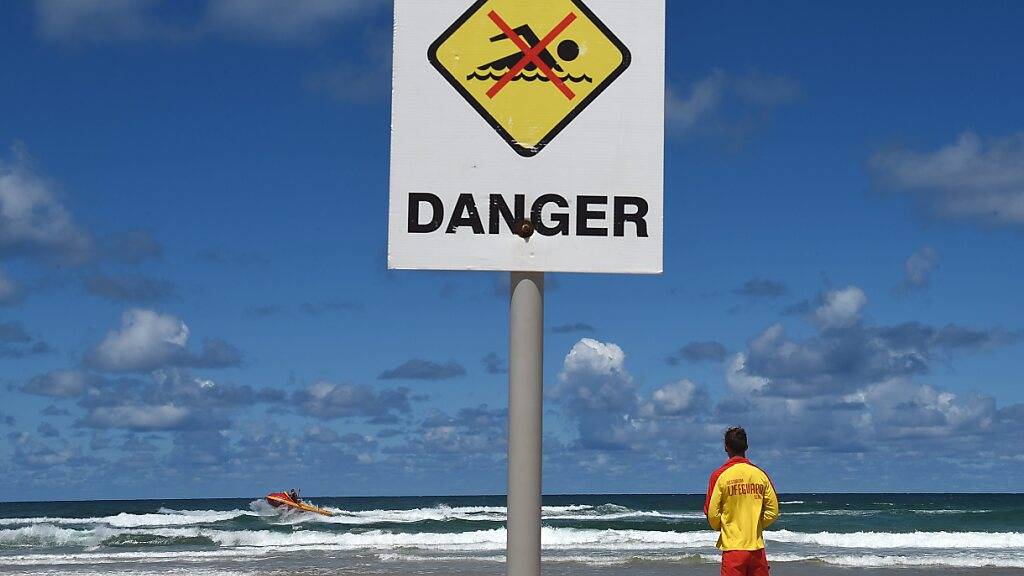 Zwar sind Haiangriffe selten. Ihre Zahl nimmt in Australien aber seit Jahren zu - unter anderem, weil auch die Zahl der Wassersportler steigt. (Archivbild)