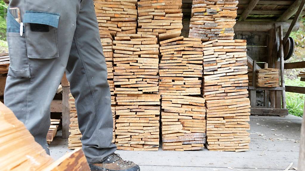 Fast 60 Prozent der Unternehmen deklarieren Holz falsch