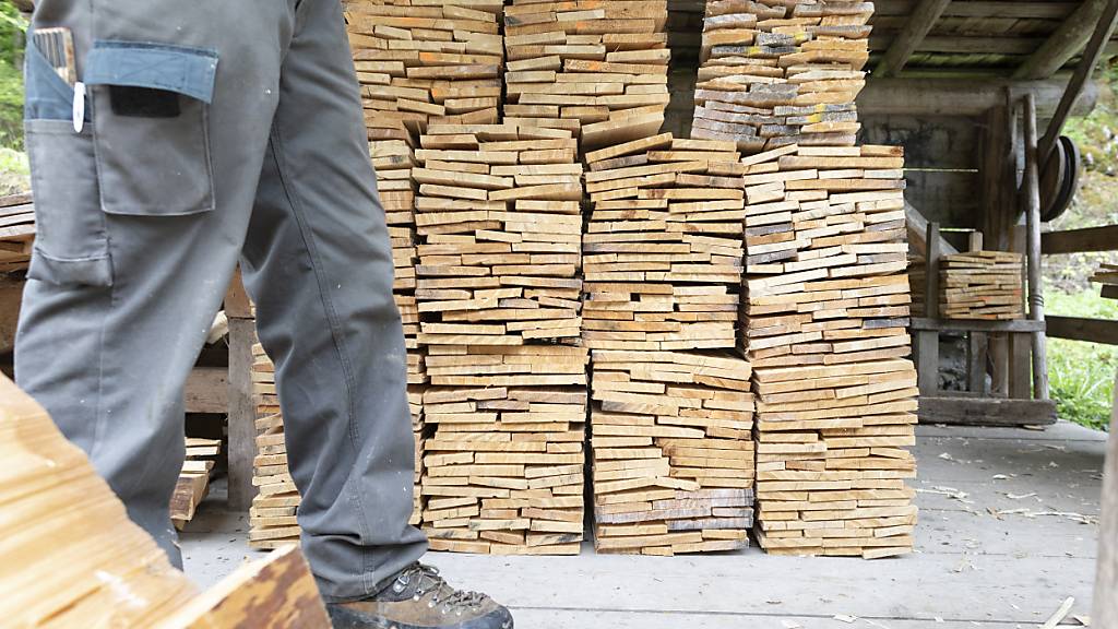 Fast 60 Prozent der Unternehmen deklarieren Holz und Holzprodukte falsch. (Archivbild)